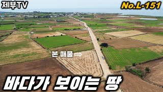 나중에 이런 땅에 L-151 집 짓고 살면 참 좋겠다는 생각이 드네요 제주도 부동산 매물,Jeju House for sale,Korea,제주도부동산TV