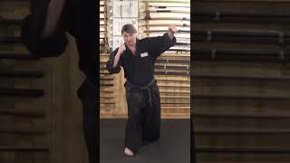 NINJA SELF DEFENSE TECHNIQUE 🥷🏻 Gyokko Ryu Kosshijutsu: Danshi Kata #Shorts