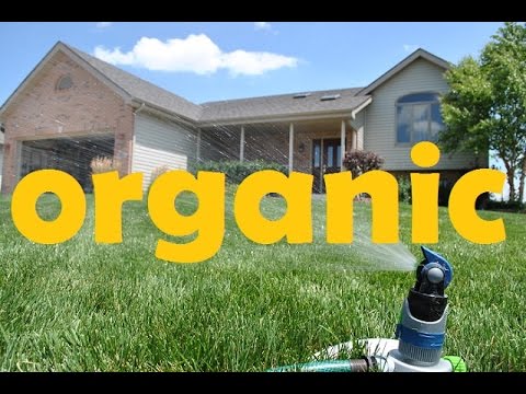 Organic Fertilizer Program That I Use On My Lawn Organic Fertilizer Program That I Use On My Lawn