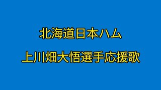 北海道日本ハムファイターズ 上川畑大悟 応援歌