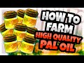 HOW TO GET HIGH QUALITY PAL OIL [QUICK AND EASY FARM] in PALWORLD