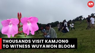 Manipur: Wuyawon Festival attracts thousands of visitors in Kamjong