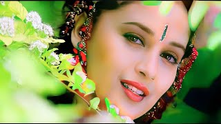 Dakha Hai Pahli Baar ||Jhankar||Saajan1991|Alka Yagnik |Salman Khan Madhuri Dixit |Hindi Hit Song
