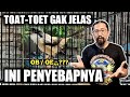 Banyak Pemula Bertanya Tentang CENDET yang seperti ini🔴OB / OE ya? - ROMO CHANNEL