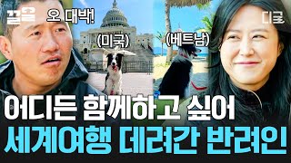 [#고독한훈련사] 모두들 강아지와 함께 하는 세계 여행✈️ 한 번쯤은 꿈꿔보셨죠? 베트남, 크로아티아 등등 전세계를 누비는 보더콜리와 견주 이야기