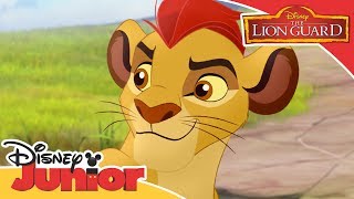 The Lion Guard - Kion Uses His Roar