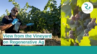 View from the Vineyard on Regenerative Agriculture | Greg Pennyroyal | Winery in California