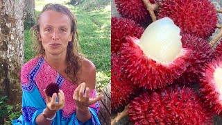 Taste-test: PULASAN aka Jungle Rambutan ( the BORNEO diaries )