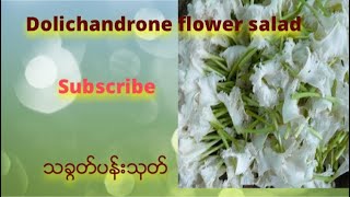 How to make Dolichandrone Spathacea Salad သခွပ်ပန်းသုတ်