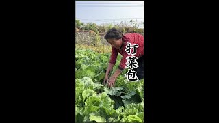 东北大饭包#农村到处都是活 #农村美食 #农村生活 #三农