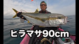 ヒラマサ90cm、お助けルアー・Gコントロール！