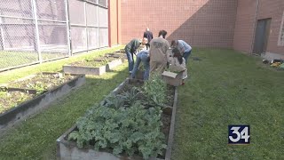 Jail inmates tend to expanded vegetable garden through program