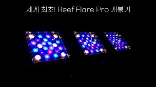 세계 최초!! Reef Flare PRO 실물을 공개합니다!!!