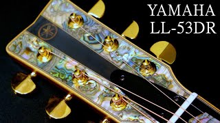 YAMAHA LL-53D R CUSTOM（1997年製）受注生産モデル（完全予約制 名古屋アコギ専門店 オットリーヤギター）
