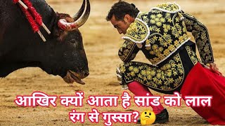 सांड को लाल रंग देखकर गुस्सा क्यों आता है|| why Bulls got angry on Red colour|| study scan