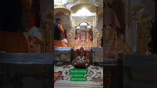 #panditsanjaysharma8109759296 #viralvideo #shyam #baglamukhihavan #live #hindudeity