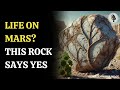 vein filled mars rock may hold clues to ancient life wion podcast