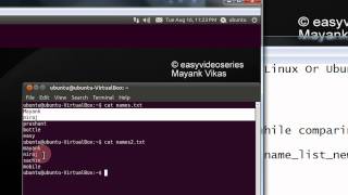 How To use diff command in Linux Or Ubuntu Step By Step Tutorial