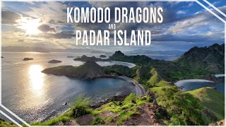 Komodo Dragons and Padar Island