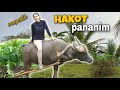 HAKOT PANANIM AT MAGTANIM DAY 1 |Roselyn Pable