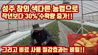 염류 관리에만 쏘맨드를 사용해? 쏘맨드의 재발견!! 고 비료 시대에 비료값 아끼는 방법!! 이 영상만 봐도 농비를 아낄 수 있습니다