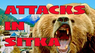 Two Incidents In Sitka, Alaska | Man Killed by Brown Bear | Troopers Take Down a Brown Bear