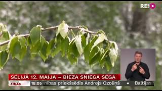 Sēlijā 12. maijā – bieza sniega segaSēlijā 12. maijā – bieza sniega sega