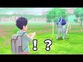 【ポケモンbdsp】色違い伝説の旅 10【ダイパリメイク】【ゆっくり実況】