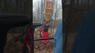 Fecon cem 36 forestry mulcher in action first time(2)