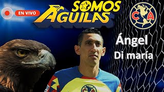 Ángel Di maría al America ? 🔴 EN VIVO  🦅 |