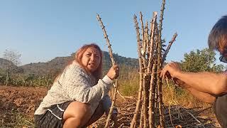 วิธีบ้านของพ่อแม่พี่นก#นัทก๋วยเตี๋ยวเป็ด #