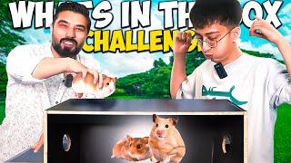 Whats In The Box Challenge with Asad Pervaiz | Jalal Karim