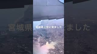 【飛行機】ANA 新千歳空港➡︎仙台空港