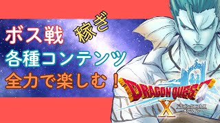 【ドラクエ10】バラシュナⅣ称号戦頑張りたい！やれれば他も色々！【参加歓迎】