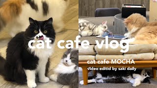 cat cafe vlog【後編】