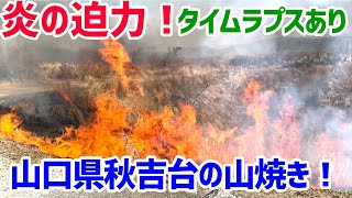 【山口県】秋吉台の炎の迫力と美しさを感じる山焼き！！タイムラプスあり