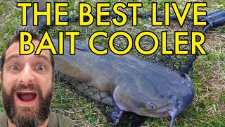 World's BEST and CHEAPEST Livebait Cooler