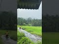 suasana sehabis hujan suasanapedesaan jalanpedesaan sawah