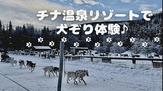 チナ温泉リゾートで犬ぞり体験！