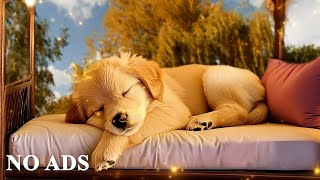 犬のための 12 時間のメロディー🎵ストレスと闘い、睡眠を改善し、ペットに平和をもたらします