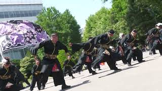 相模祭組＆加舞輪奴会  よさこいソーラン祭り2024  道庁赤レンガ会場  2024年6月8日