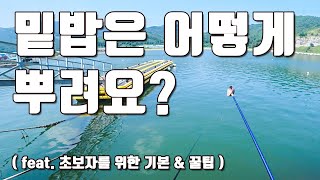 [다리tv] 낚시 밑밥은 어떻게 뿌려요?! 대박 조과의 핵심!!! 입문자를 위한 쉬운 밑밥 요령!!! ☆ 꿀팁 ☆