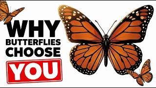 If a Butterfly Has Ever Landed on You, This Is What Was Actually Happening