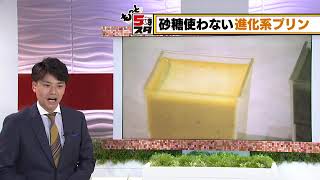 【砂糖使わない進化系プリン】もっと5時スタ！(2021年10月22日放送)