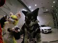 jmof japan meeting of furries 2017 kemono digest