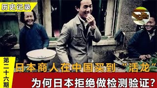 1871年，日本商人在中国买到“活龙”，为何日本拒绝做检测验证？