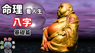 [八字教學]命理看人生｜八字基礎篇｜教你如何在命理當中看出什麼人能帶旺你｜江岳奇師傅！