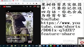 果树修剪其实很简单，只要你记住这四句话，你也会成为修剪专家   YouTube   錄製 2023 12 06 14 06 47 21