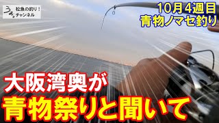 大阪湾奥が青物祭りと聞いて行ってみた。10月4週目の青物ノマセ釣り。