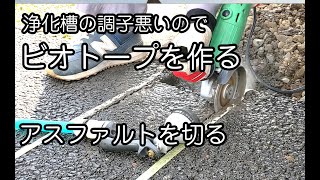 浄化槽の調子が悪いので ビオトープを作ることにした01